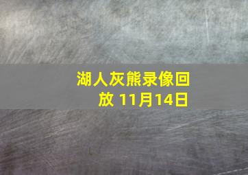 湖人灰熊录像回放 11月14日